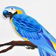photo-2970306