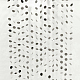 photo-2969957