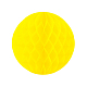 photo-2970181