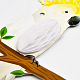 photo-2970308